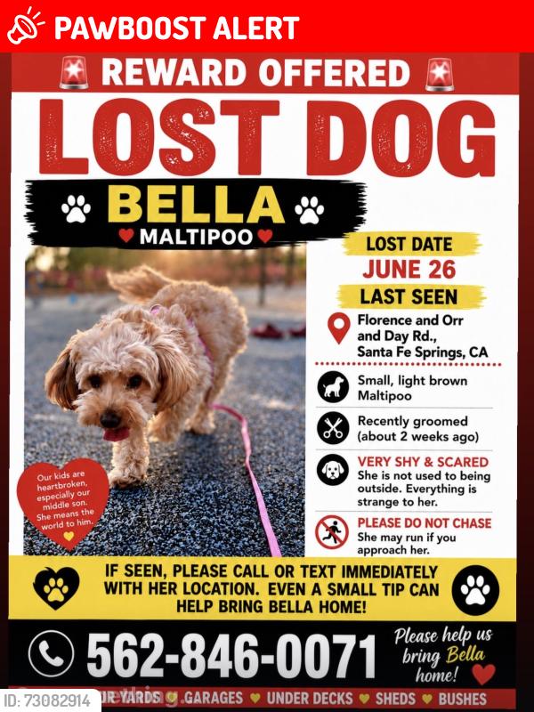 Lost Female Dog last seen Florence and orr, Santa Fe Springs, CA 90670