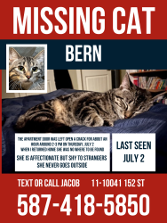 Lost Female Cat last seen Near 152 Street NW, Edmonton, AB T5P 1X8