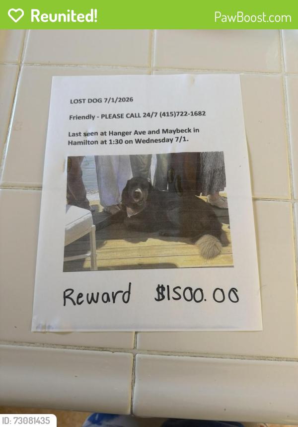 Reunited Female Dog last seen Near Richardson Ave , Novato, CA 94949