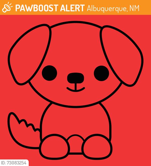 Found/Stray Unknown Dog last seen Circle k indian school. And moon, Albuquerque, NM 87112