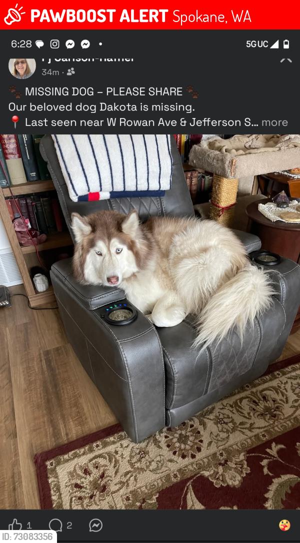 Lost Female Dog last seen W Rowan and monroe, Spokane, WA 99205