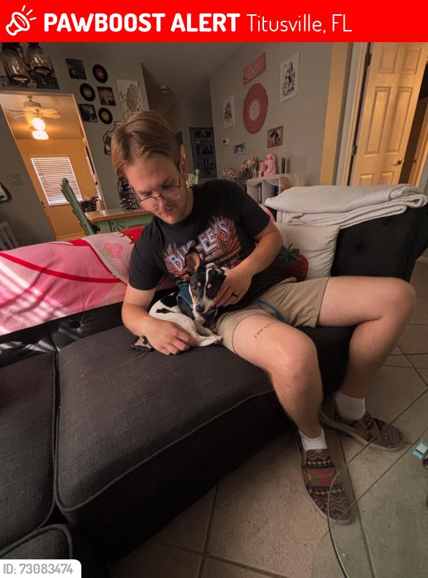 Lost Male Dog last seen Imperial ests neighborhood, Titusville, FL 32780