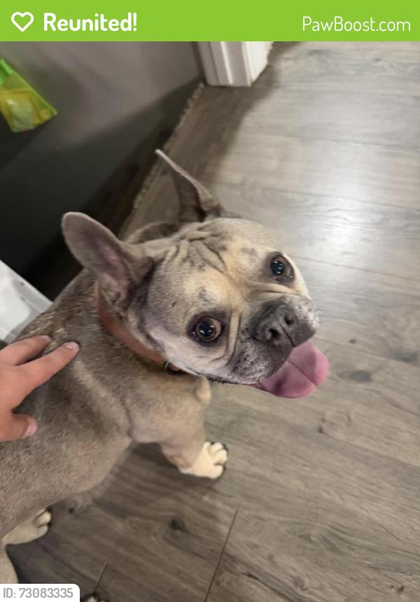 Reunited Male Dog last seen University Elementary , Spokane Valley, WA 99206