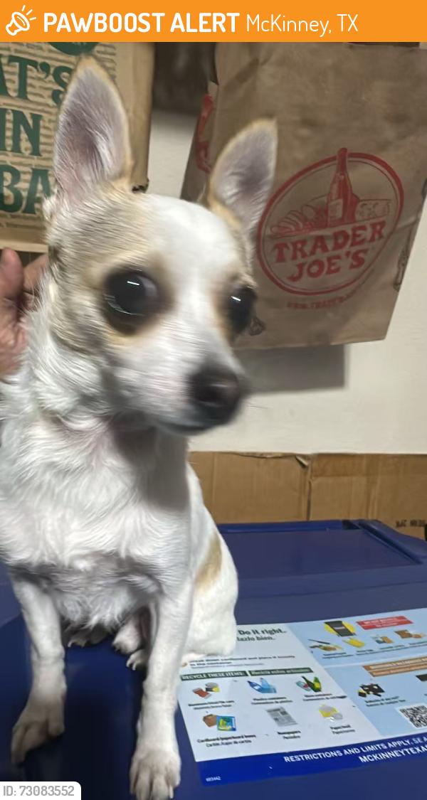 Found/Stray Unknown Dog last seen Near Cottontail Lane McKinney, McKinney, TX 75071