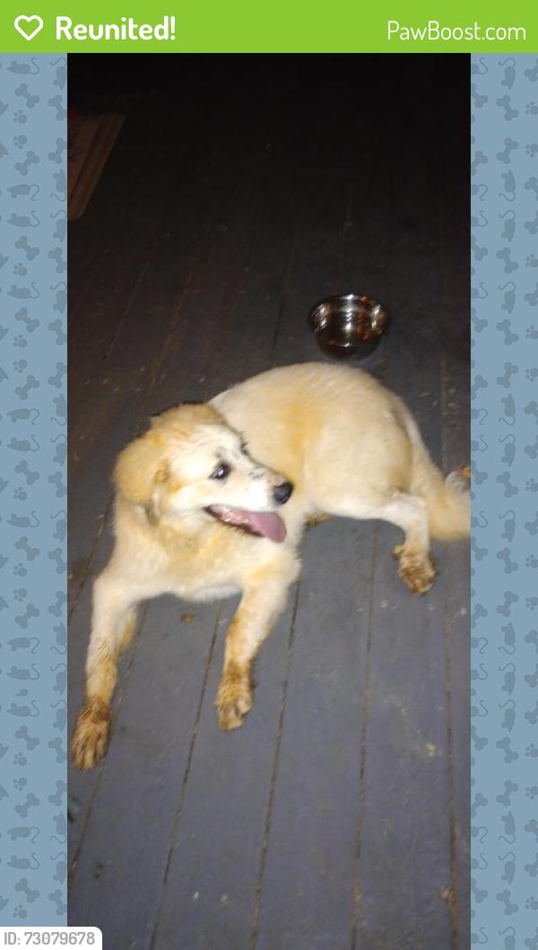 Reunited Unknown Dog last seen Harps crossing, Fayette County, GA 30215