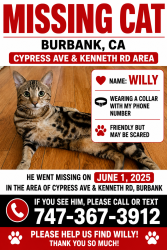 Lost Male Cat last seen Kenneth Rd Cypress Ave Burbank, Burbank, CA 91501