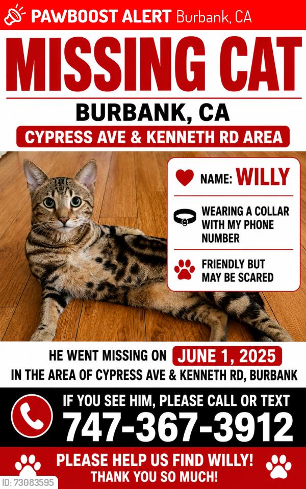 Lost Male Cat last seen Kenneth Rd Cypress Ave Burbank, Burbank, CA 91501