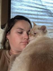 Lost Male Cat last seen county road 155 kaufman Texas, Kaufman, TX 75142