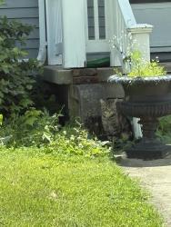 Found/Stray Male Cat last seen Near St. Lawrence Catholic Church, Muncie, IN 47305