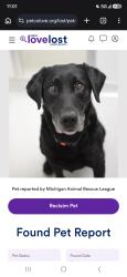 Lost Male Dog last seen Oak Hill & Hurd Rd, Oxford, MI 48371