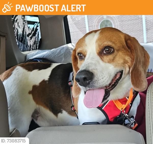 Found/Stray Male Dog last seen Unknown, Goochland County, VA 23153