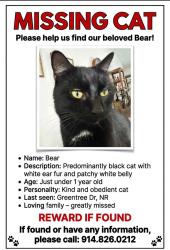 Lost Male Cat last seen Daisy Farms and Harlan Drive , Scarsdale, NY 10583