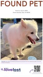 Reunited Male Dog last seen Cropley and Camargo , San Jose, CA 95132