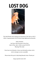 Lost Female Dog last seen Sycamore and van horn, Selma, CA 93662