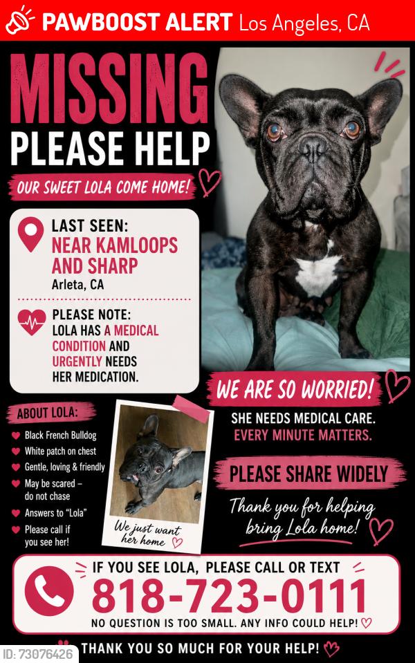 Lost Female Dog last seen Sharing, Los Angeles, CA 91331