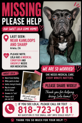 Lost Female Dog last seen Sharing, Los Angeles, CA 91331