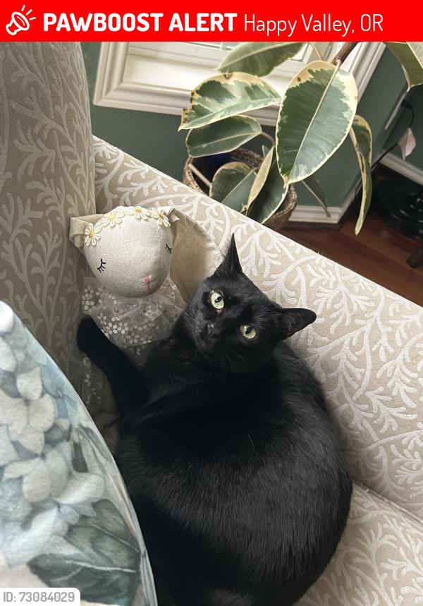 Lost Female Cat last seen William Otty Rd, Happy Valley, OR 97086