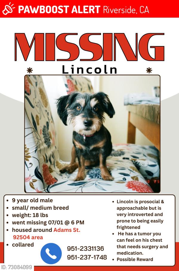 Lost Male Dog last seen Helena Ave & Brynhust Dr, Riverside, CA 92504