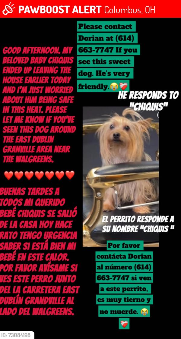 Lost Male Dog last seen ………………….., Columbus, OH 43229