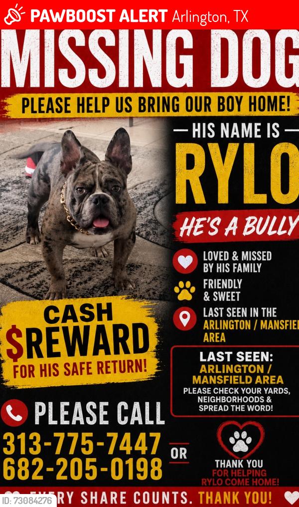 Lost Male Dog last seen Arlington Texas, Arlington, TX 76002