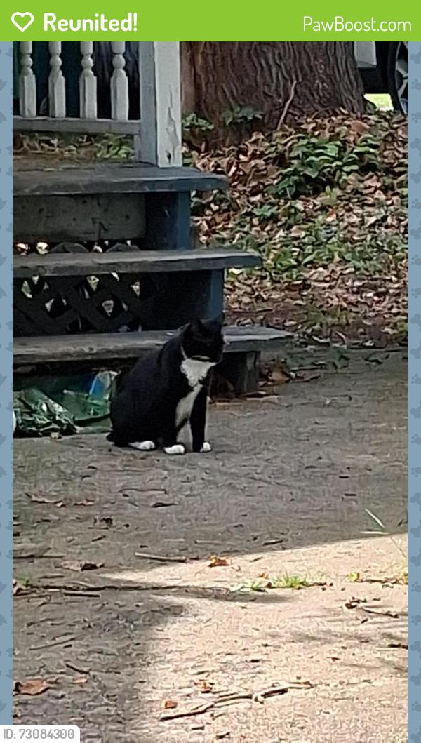 Reunited Unknown Cat last seen Dreher Ave and rt. 80 entrance, Stroudsburg, PA 18360