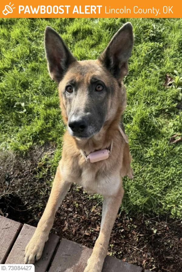 Found/Stray Unknown Dog last seen Turner turnpike heading east towards stroud, Lincoln County, OK 74834