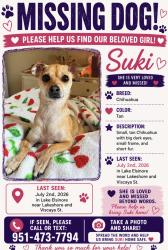 Reunited Female Dog last seen Lakeshore and Viscaya St, Lake Elsinore, CA 92530