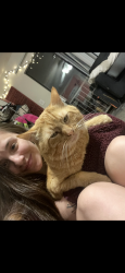 Lost Male Cat last seen Cove view & Stewart road, Galveston, TX 77554