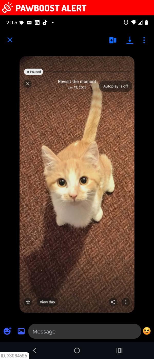 Lost Male Cat last seen LAST SEEN IN HARMONY ests MOBILE HOME PARK, South Charleston, OH 45368
