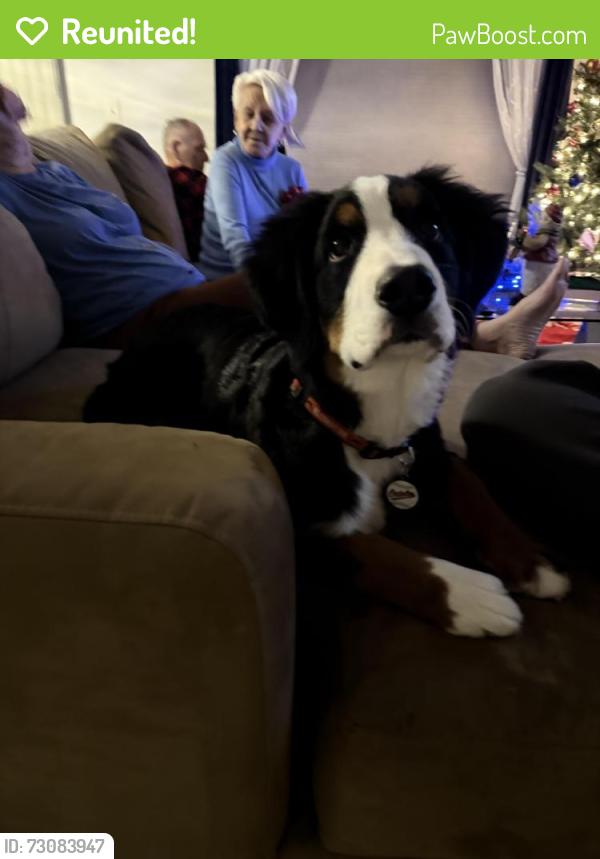 Reunited Female Dog last seen Churchville road, 22, tredmore, Bel Air, MD 21015