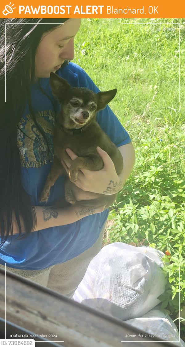 Found/Stray Female Dog last seen Blanchard county line rd, Blanchard, OK 73010