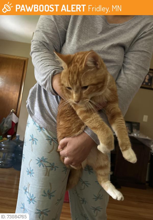 Found/Stray Male Cat last seen 40th and Main ST, Fridley, MN 55421
