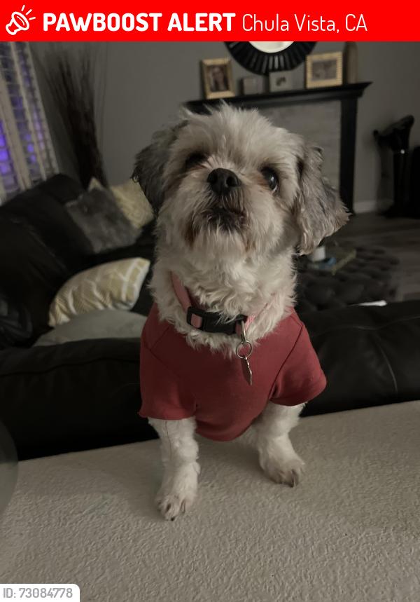 Lost Female Dog last seen North Creekside Drive and clbh Drive in Eastlake, Chula Vista, CA 91915