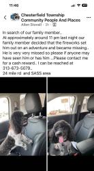 Lost Male Dog last seen 24 Mile and Sass, New Baltimore, MI 48047