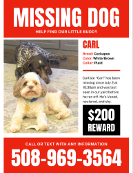 Lost Male Dog last seen Callahan State Park, Framingham, MA 01701