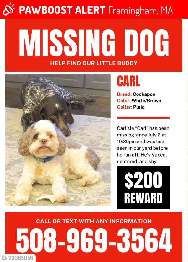 Lost Male Dog last seen Callahan State Park, Framingham, MA 01701