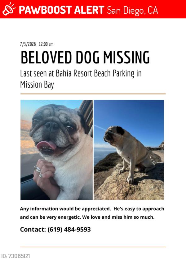Lost Male Dog last seen Gleason & Mission Bay Dr (Bahia Resort), San Diego, CA 92109