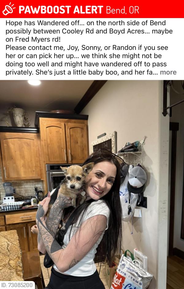 Lost Female Dog last seen Cooley rd, Fred myer way, Boyd acres, Bend, OR 97701