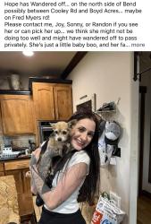 Lost Female Dog last seen Cooley rd, Fred myer way, Boyd acres, Bend, OR 97701