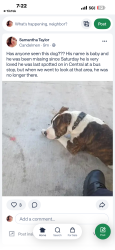 Reunited Male Dog last seen Central bus stop by the casino, Albuquerque, NM 87108