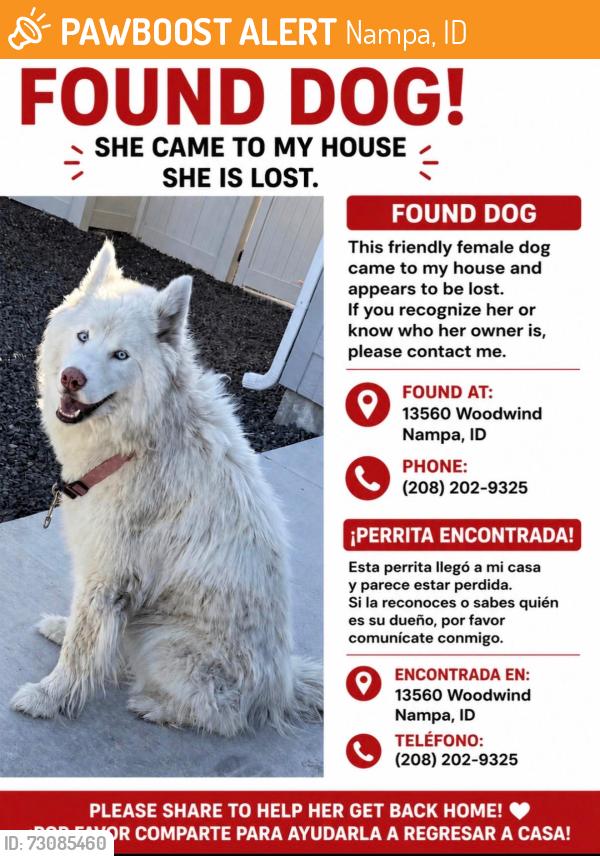 Found/Stray Female Dog last seen Roosevelt ave, Nampa, ID 83651