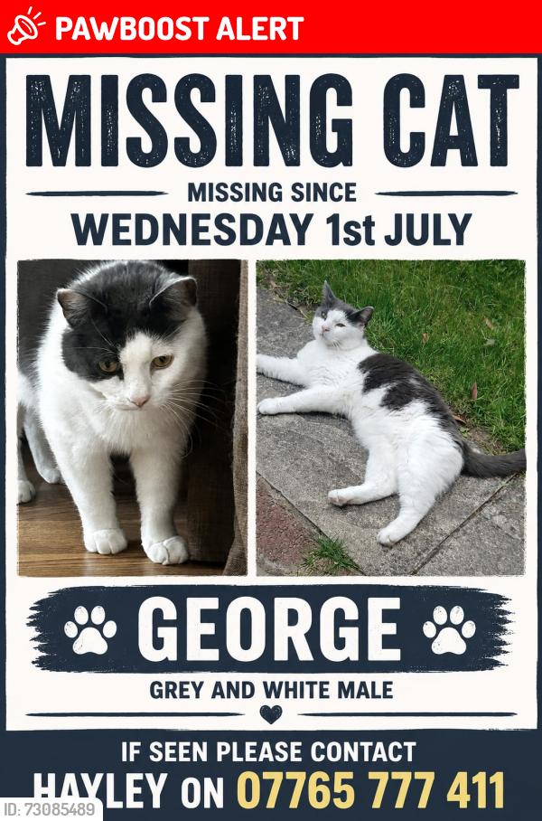 Lost Male Cat last seen Longley Lane, Wythenshawe, England 