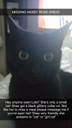 Lost Female Cat last seen White cross road, Clifton, England 