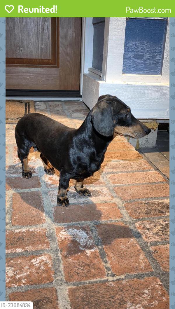Reunited Female Dog last seen Prairie Lane , San Jose, CA 95127