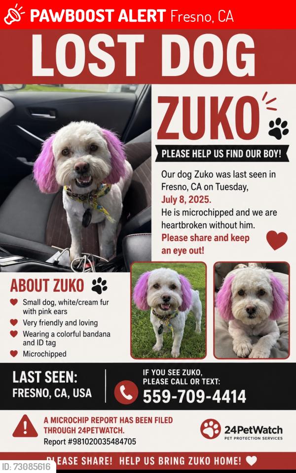 Lost Male Dog last seen First and shields, Fresno, CA 93703