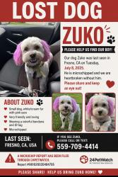 Lost Male Dog last seen First and shields, Fresno, CA 93703