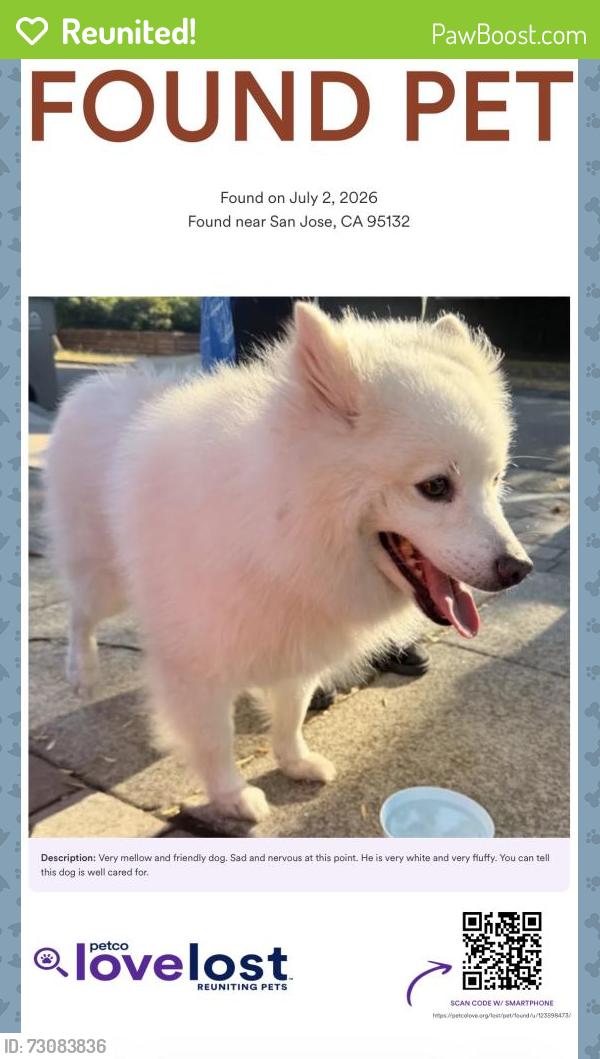 Reunited Male Dog last seen Cropley and Camargo , San Jose, CA 95132