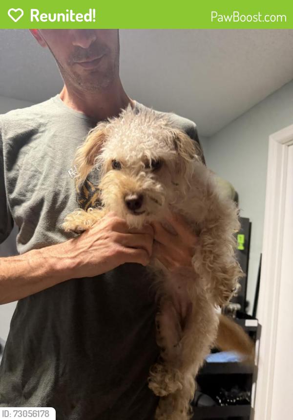 Reunited Female Dog last seen Tucker Ave St Cloud FL 34772, St. Cloud, FL 34772
