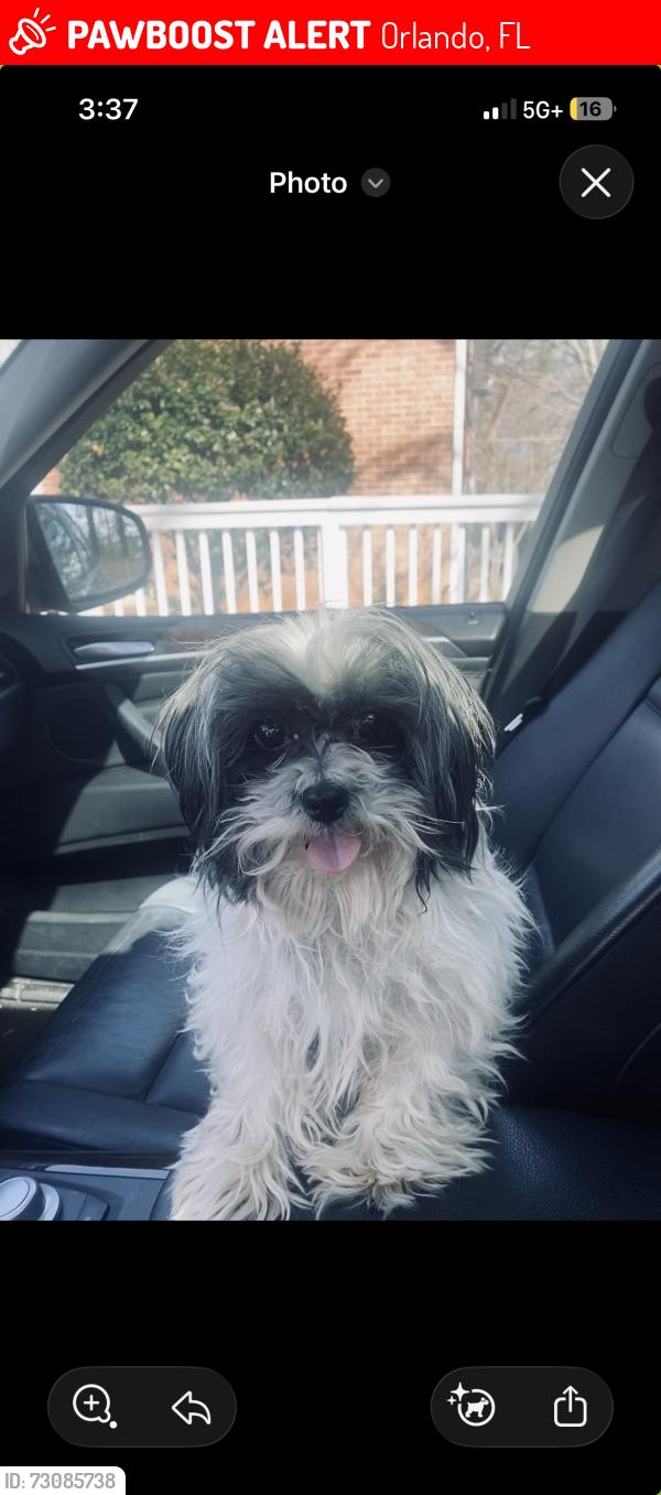 Lost Female Dog last seen Bonnie Broke BLVD, Orlando, FL 32809