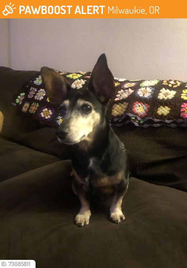 Found/Stray Male Dog last seen SE Lake Road and SE Rusk Road, Milwaukie, OR 97222